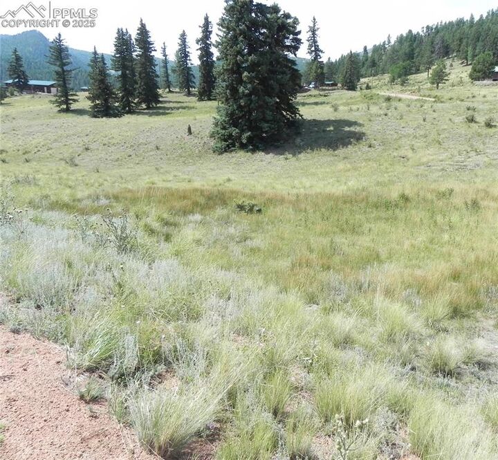 Property Photo:  53 Nickel Plate Road  CO 80813 