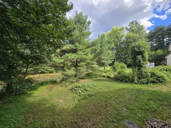 Property Photo:  205 Camp Street  CT 06062 