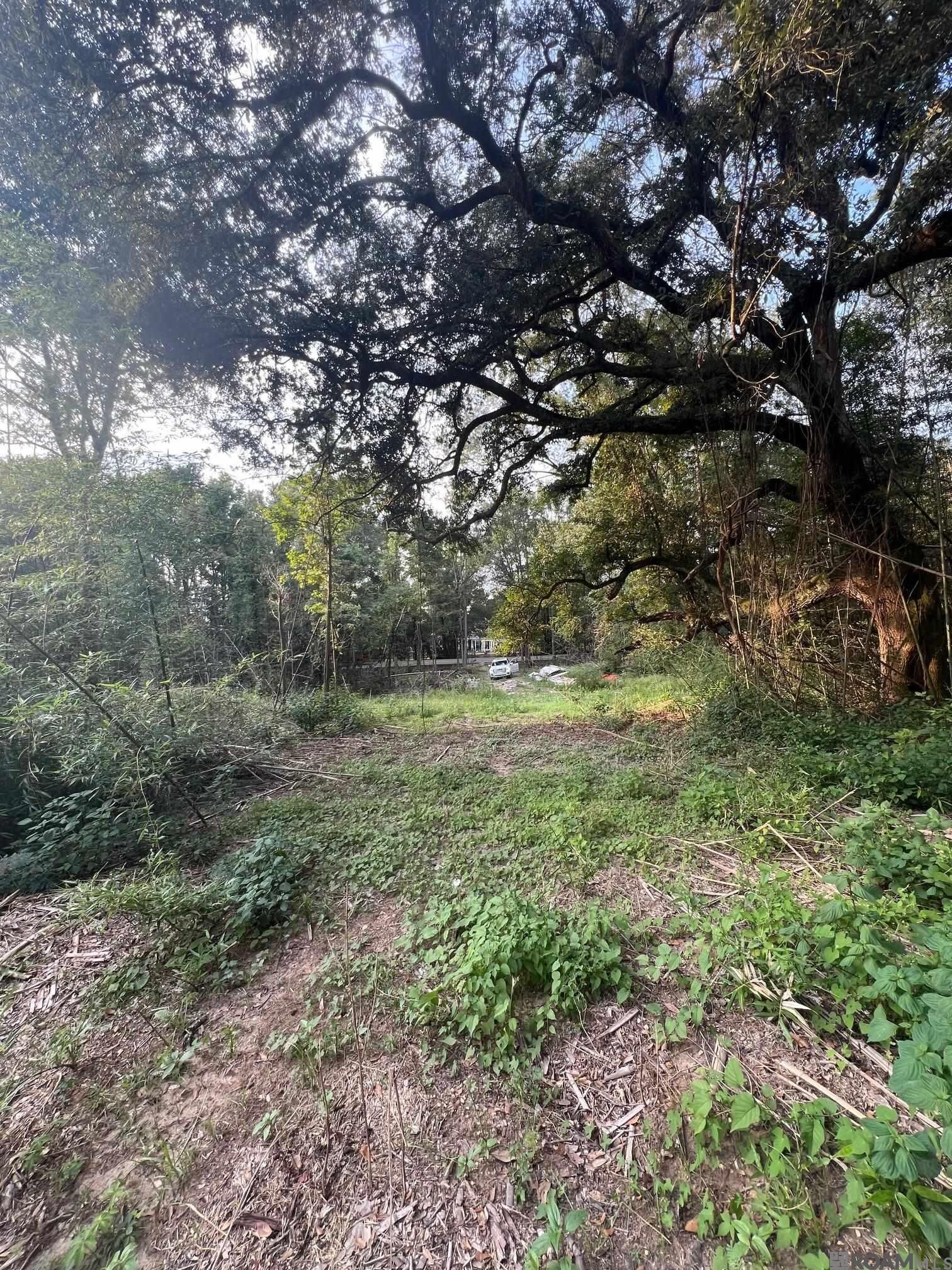 Property Photo: A2a3 Greenwell Springs Rd LA 70739