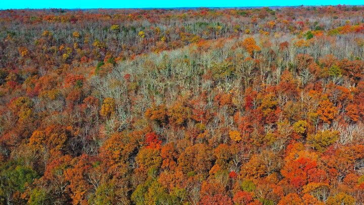 Property Photo:  000 Summers Loop  AR 72081 