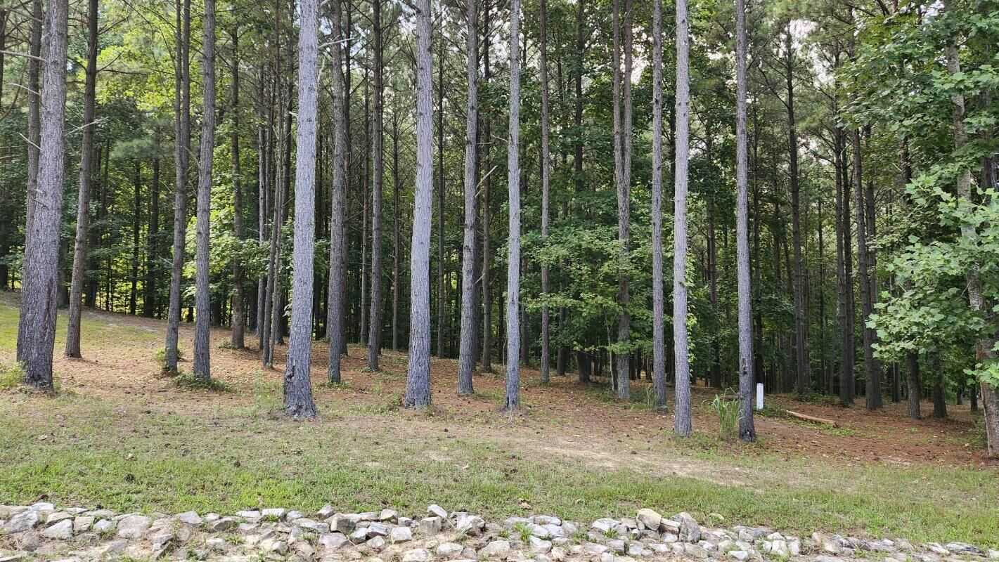 Property Photo:  201/225 Compass Drive  TN 37347 