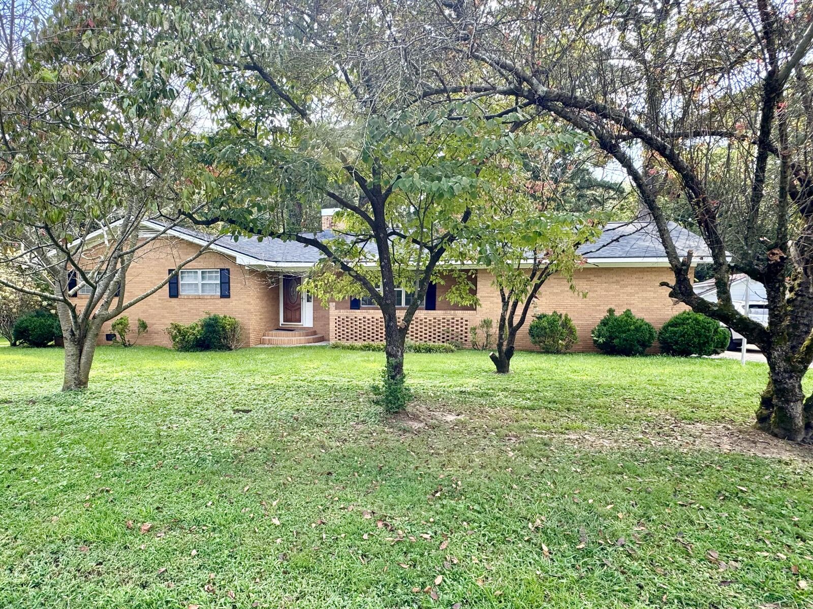 Property Photo:  206 Sunrise Circle  GA 30753 