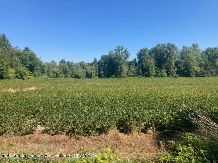 Property Photo:  000 W Huff Road  MI 48831 
