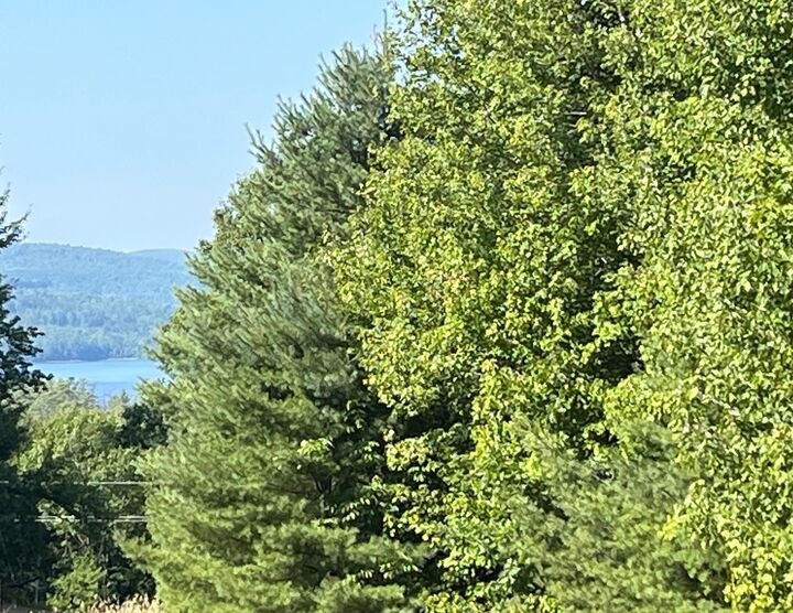 Property Photo: Lot 67 Williams Road NH 03561