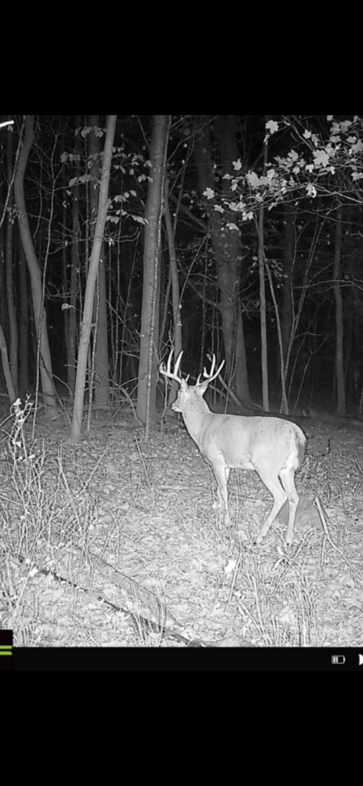 Property Photo:  Xx3 County Road 3  MN 56340 