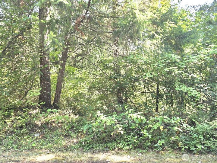 21815  Beachside Drive SE  Yelm WA 98597 photo