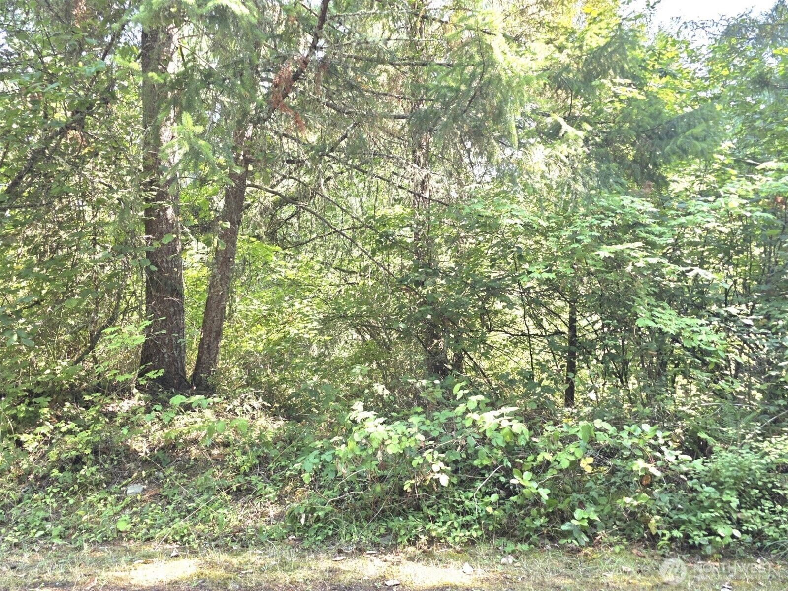 Property Photo:  21815  Beachside Drive SE  WA 98597 