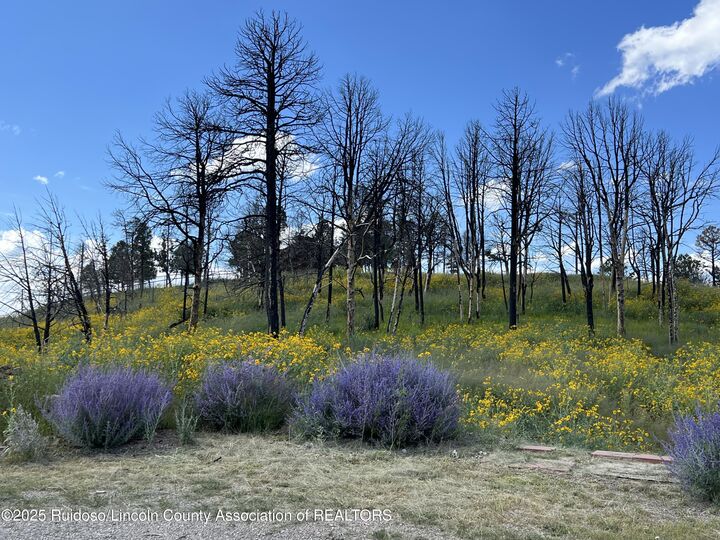 187 Telluride Trail  Ruidoso NM 88345 photo
