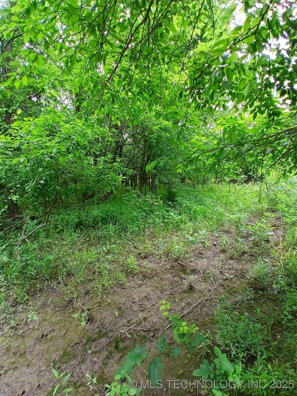 Property Photo:  Lynn Lane  OK 74432 