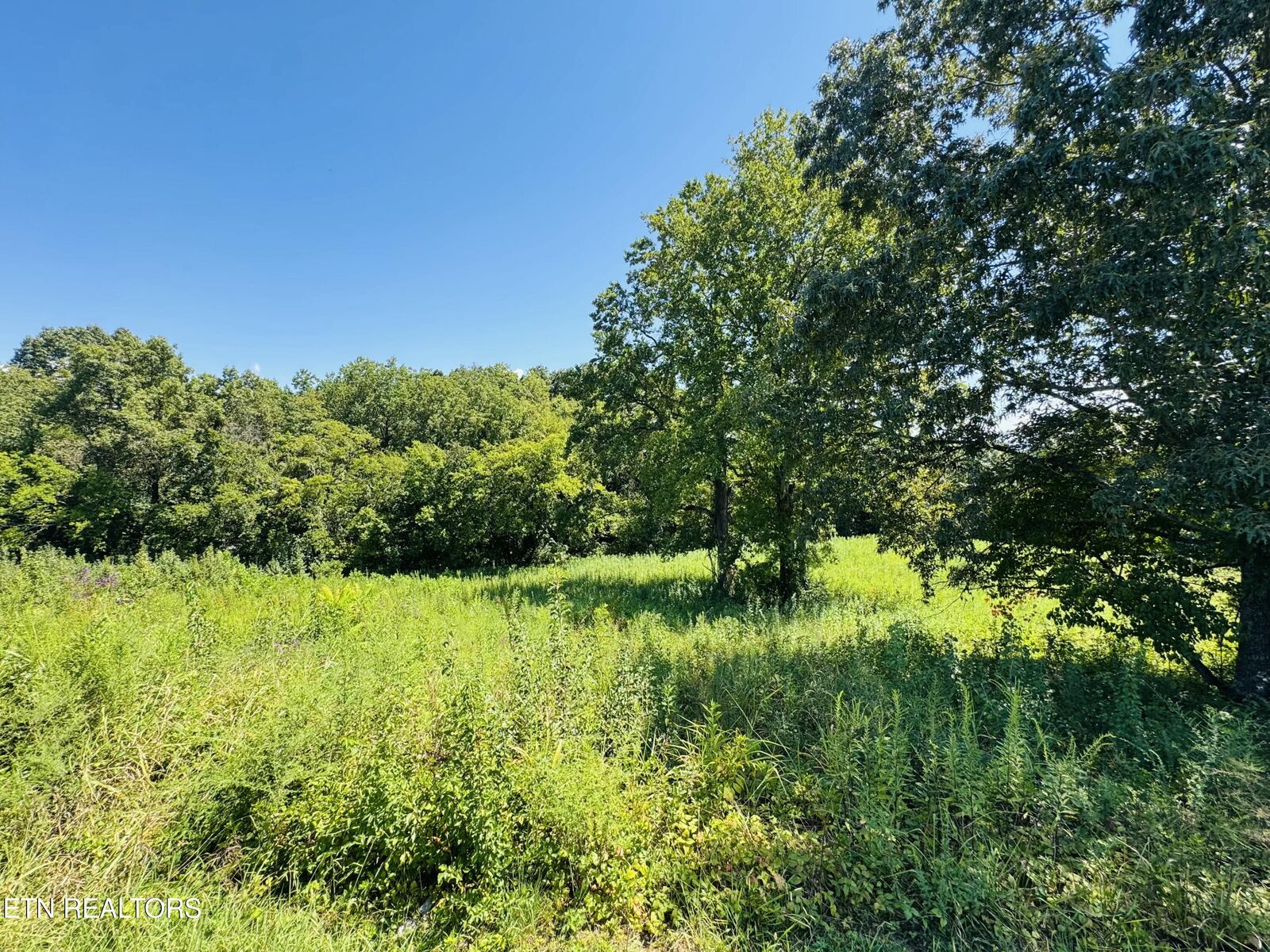 Property Photo:  2102 Kings View Loop  TN 37865 