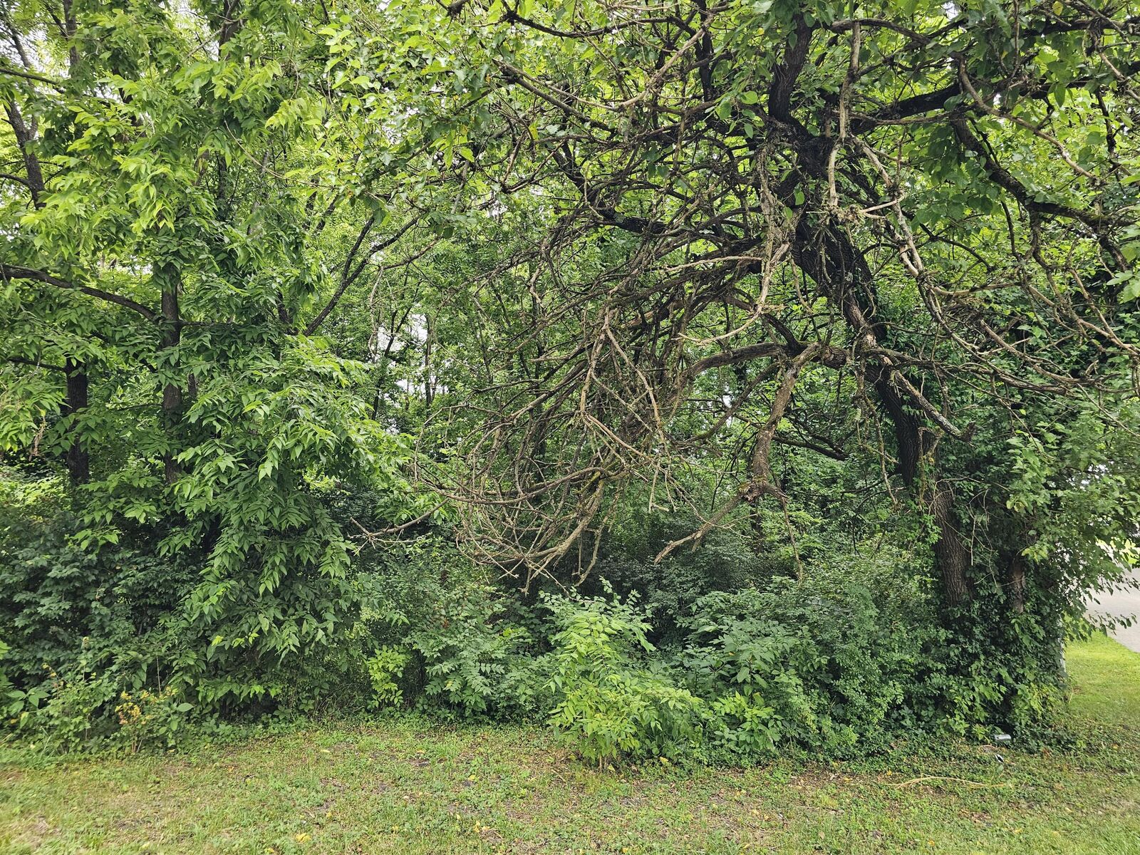 Property Photo: 538 Lincoln Street KY 40342