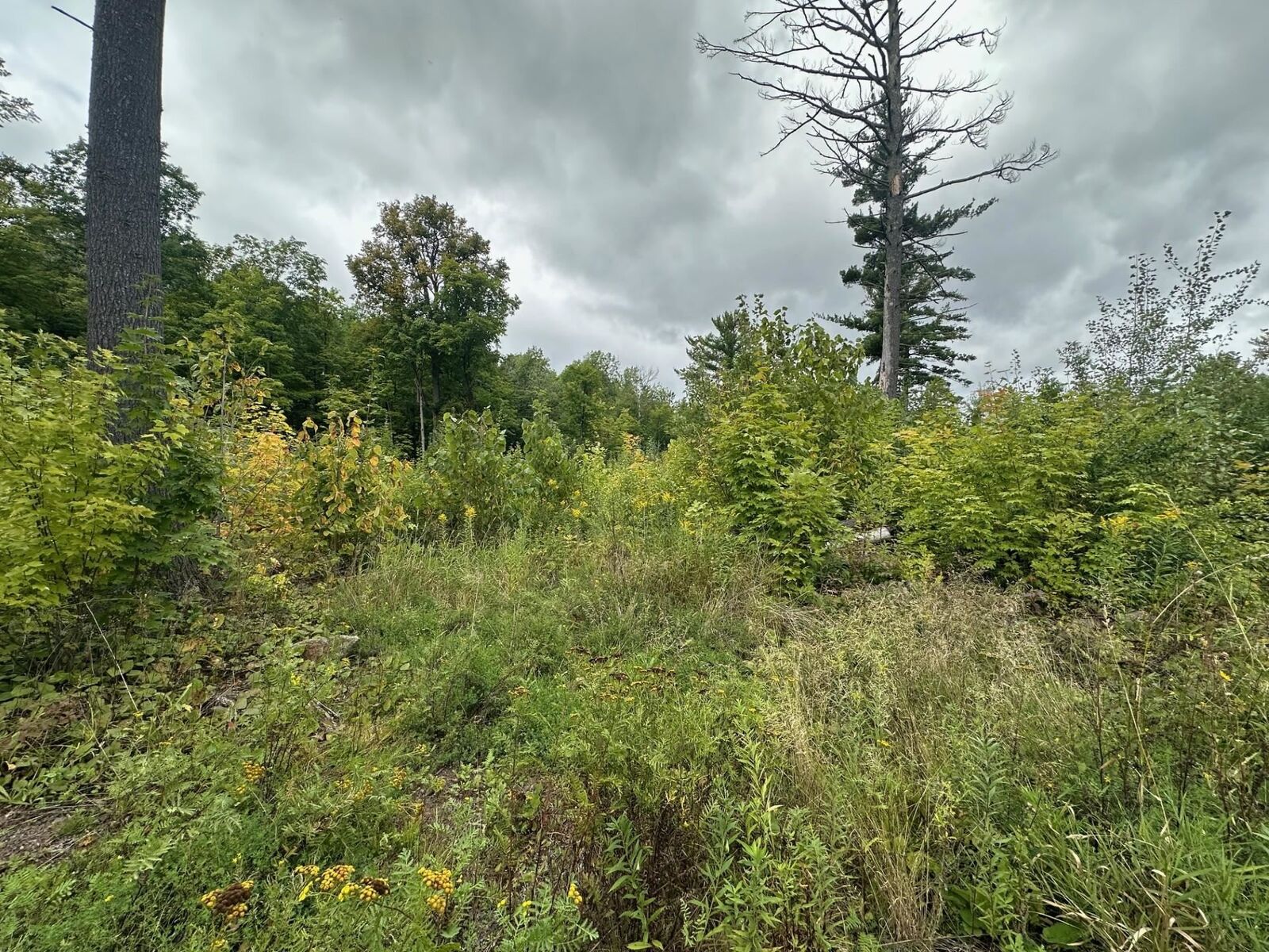 Property Photo:  Xxx Hwy 45  MN 55720 