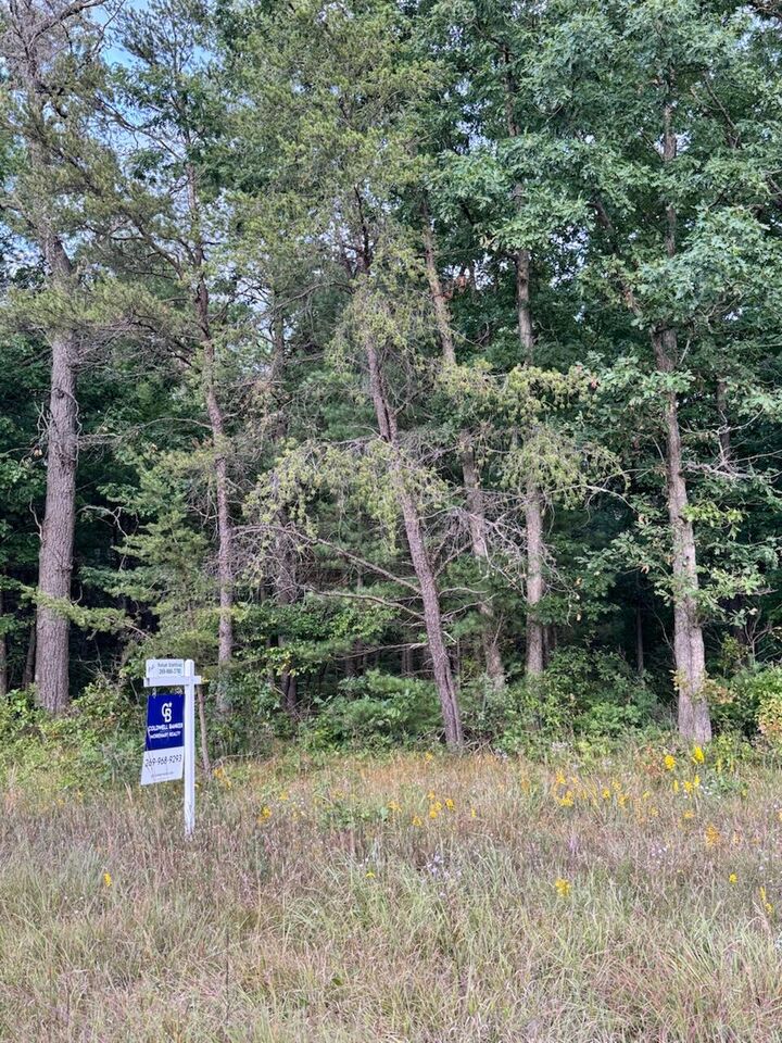Property Photo:  M-37  MI 49304 