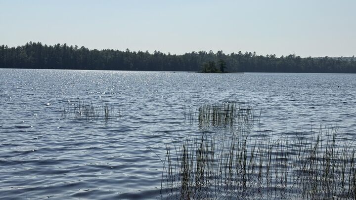 Property Photo: Lot #1 Bucksport Road ME 04605
