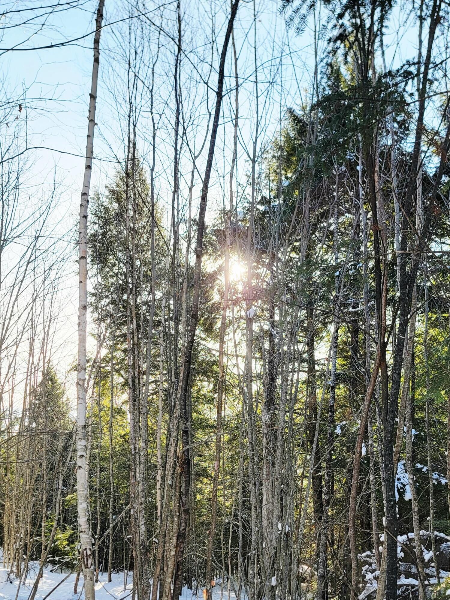 Property Photo: B-2backlot Pioneer Path ME 04605