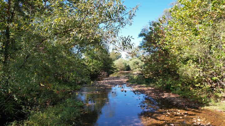 Property Photo:  446 Grinders Creek Rd  TN 38462 