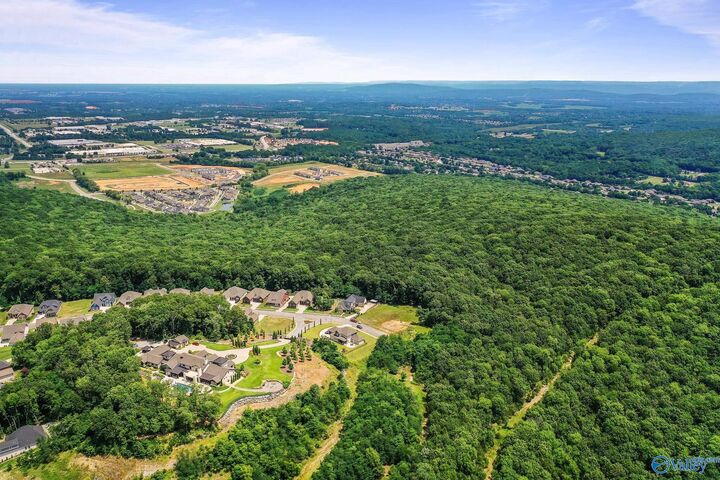 Property Photo: 64 Acres Hawks Way AL 35811