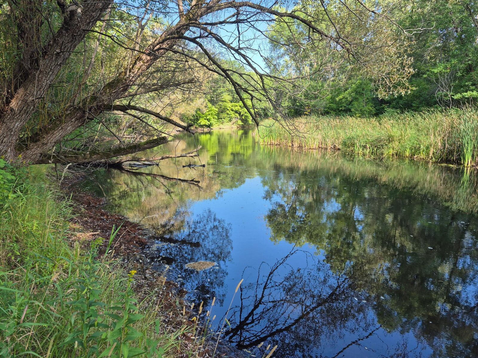 Property Photo: Xxx State Hwy 169 MN 56359