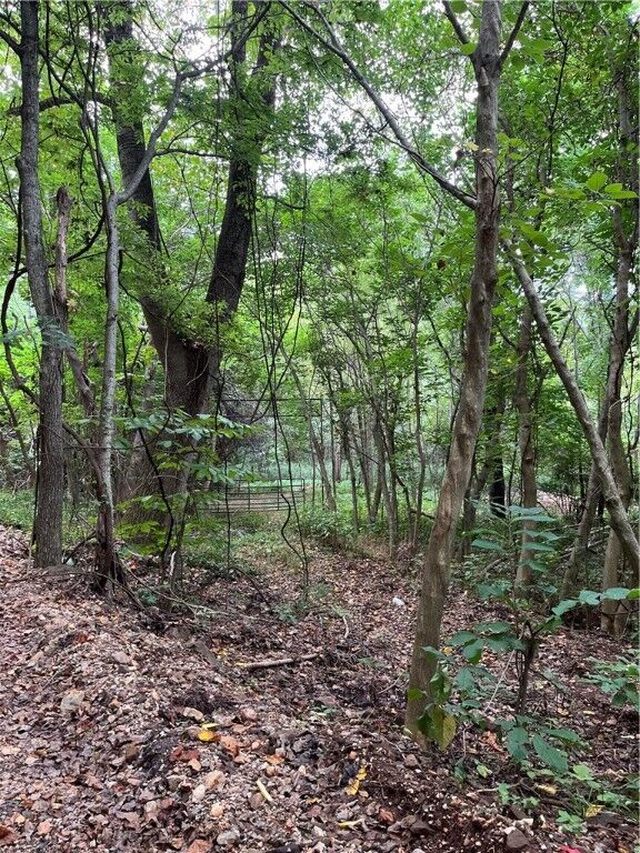 Gum Springs Road  Parthenon AR 72666 photo