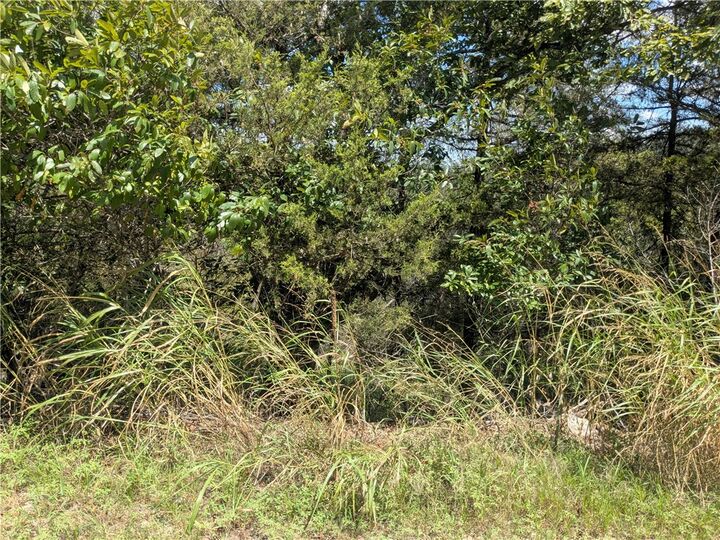 Property Photo:  24 Beaver Drive  AR 72631 