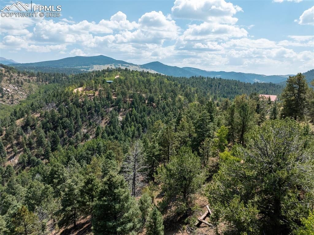 Property Photo: 1151 Dandy Jim Drive CO 80813