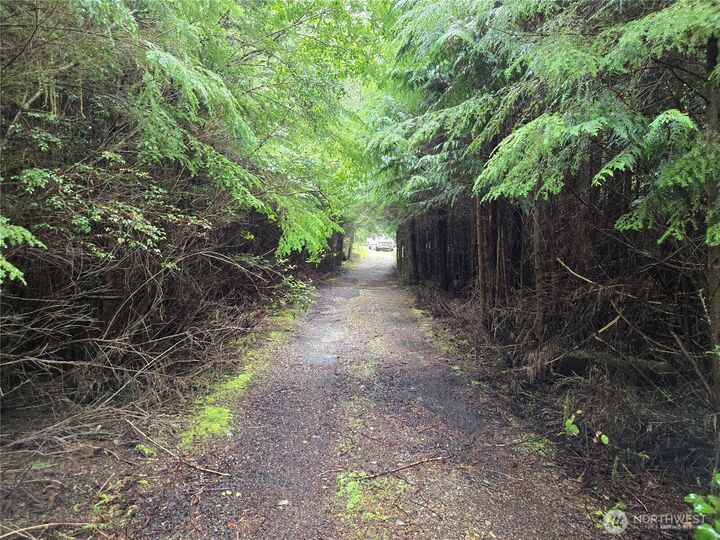 Property Photo:  3183  Ocean Beach Road  WA 98571 