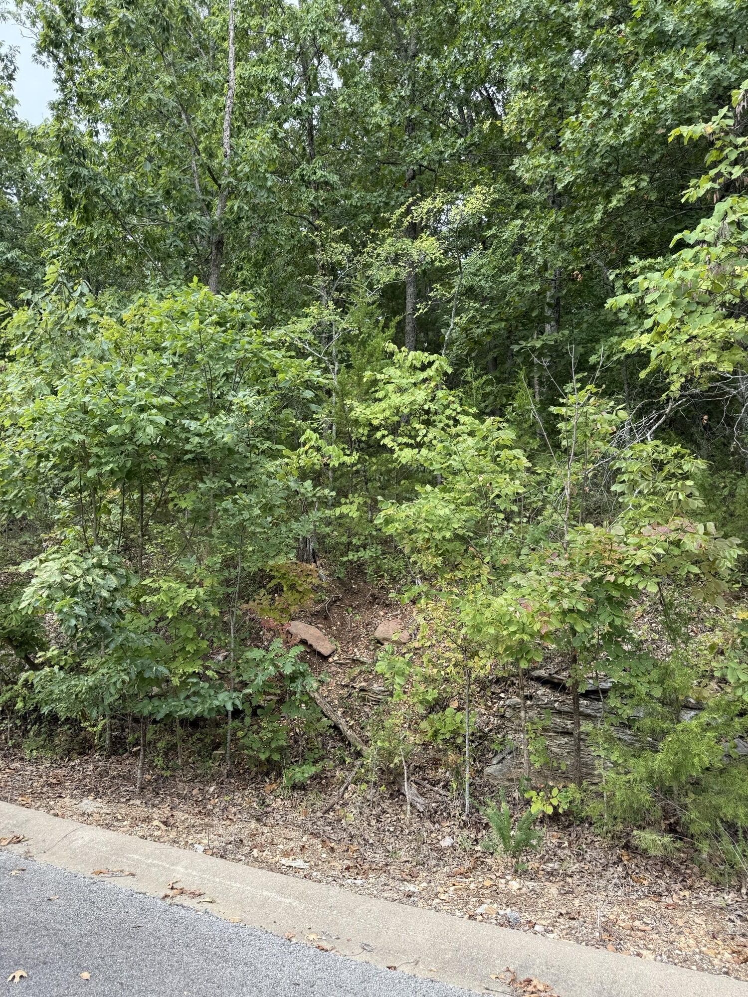 Property Photo:  Tbd Skylee Drive  MO 65672 