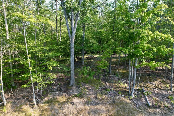 Property Photo: V/L Lot842 Porcupine Path MI 49735