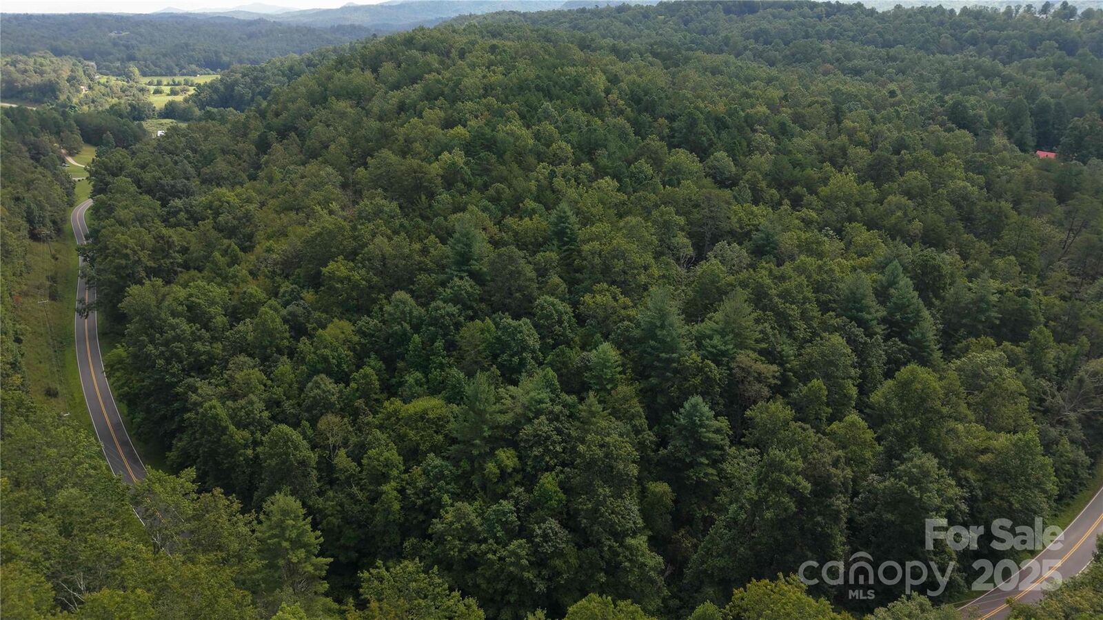 Property Photo: Off Lavender Road NC 28762