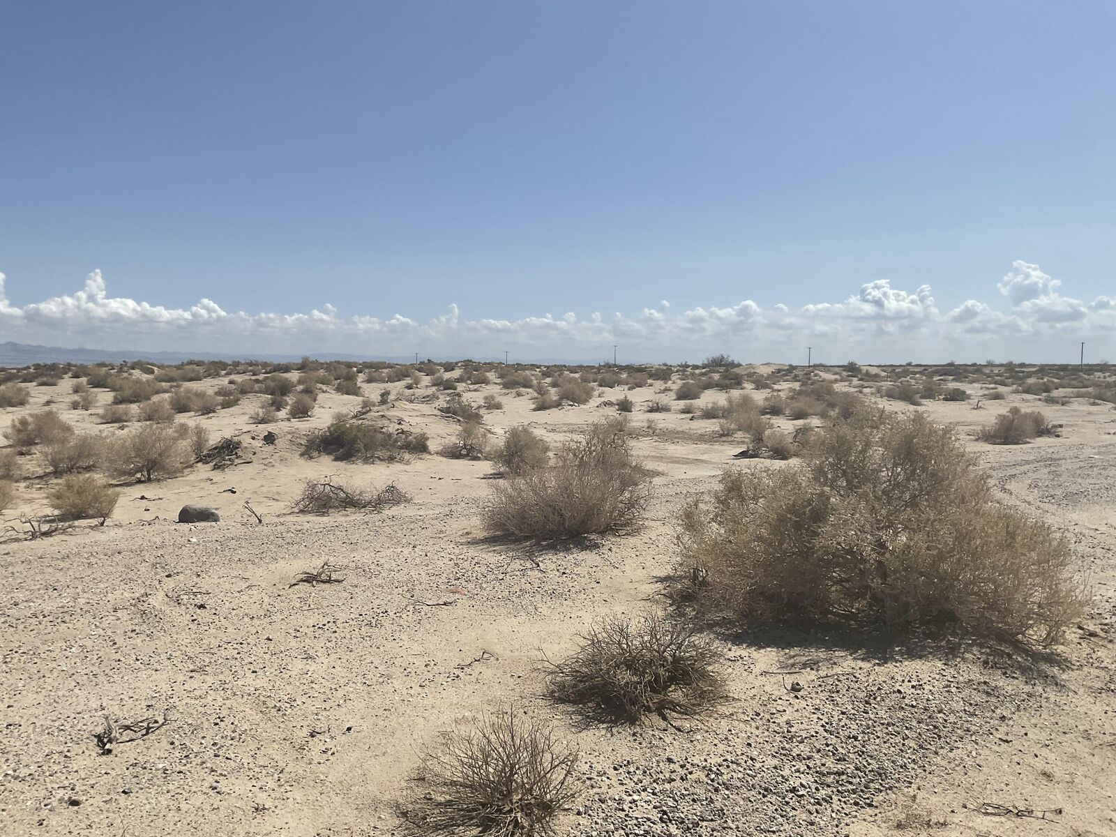 Property Photo:  2240 Panorama Avenue  CA 92274 