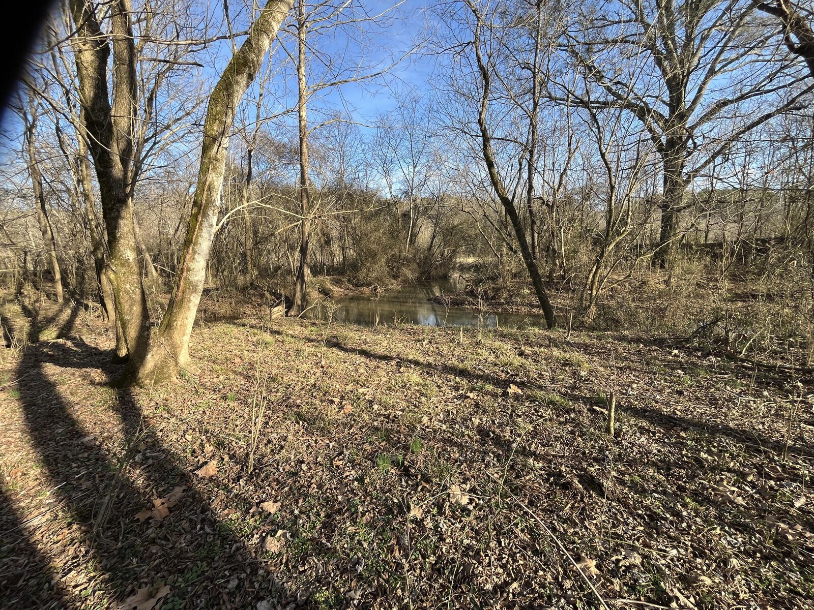 Property Photo: 39 Acres Quinton Road GA 30740