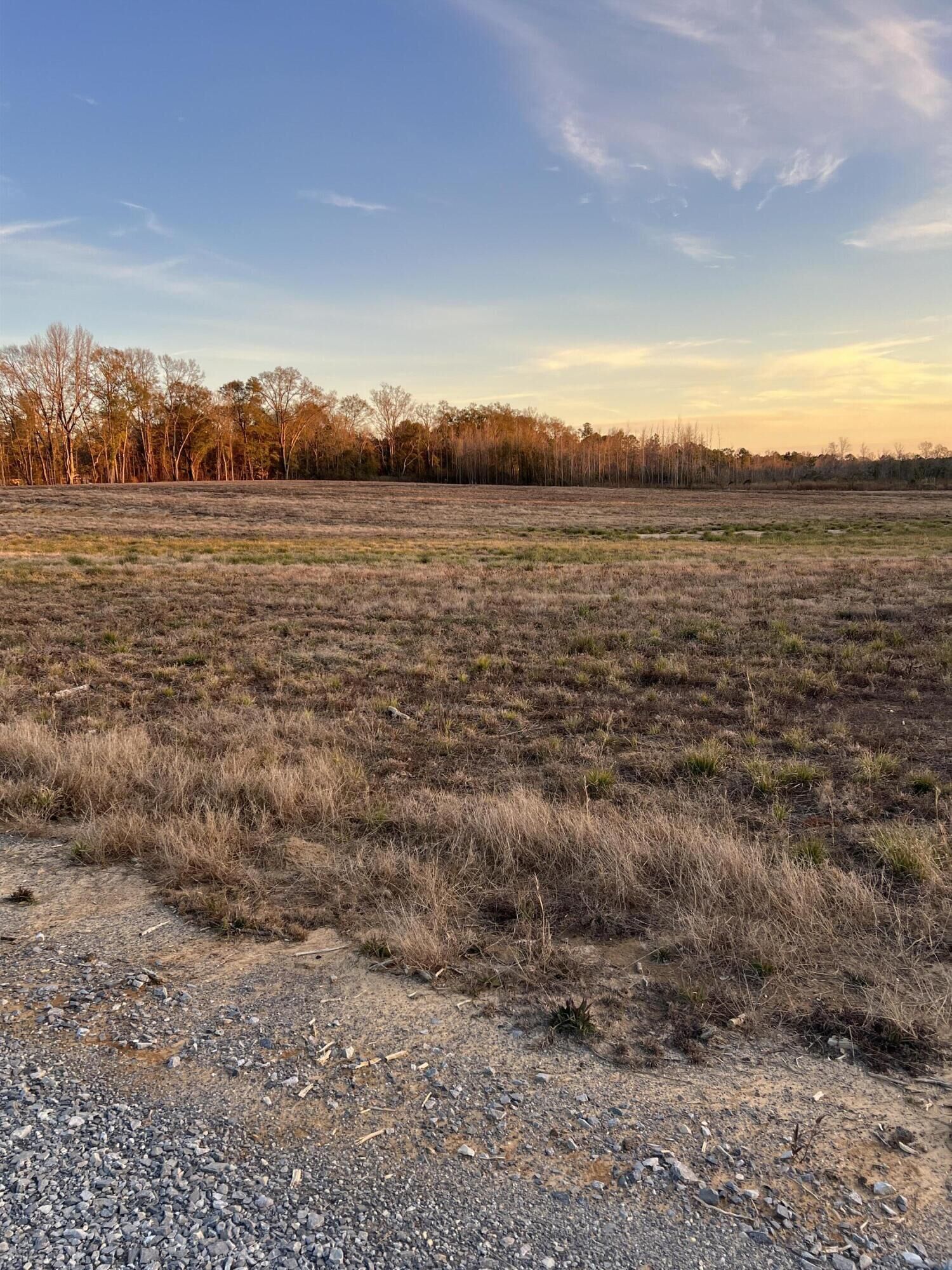 Property Photo: Lt 8 1 Acr Patton Creek Rd. MS 39367
