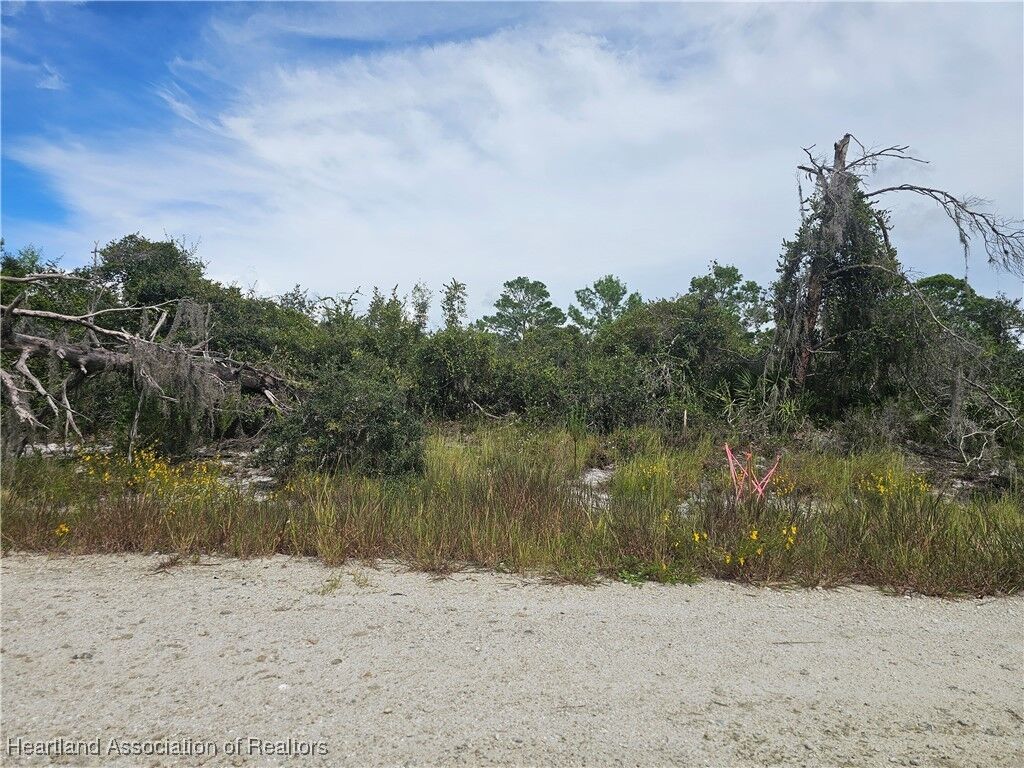Property Photo: 123 Patton Avenue FL 33852