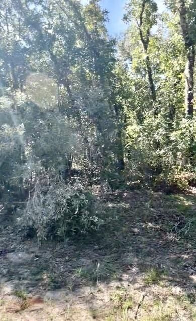Property Photo:  3222 W Brazilnut Road  FL 34465 