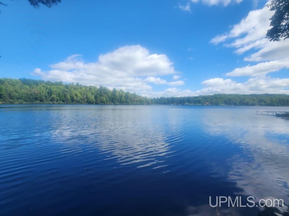 Property Photo:  Tbd W Tamarack Lake Road  MI 49969 