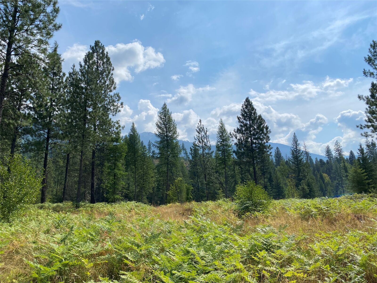 Property Photo:  147 Crow Court  MT 59935 