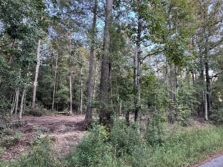 Property Photo:  730 Cr 459  TX 75956 