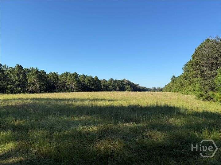 0 Sunbury Road Tract 4  Claxton GA 30417 photo