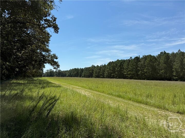 0 Sunbury Road Tract 6  Claxton GA 30417 photo