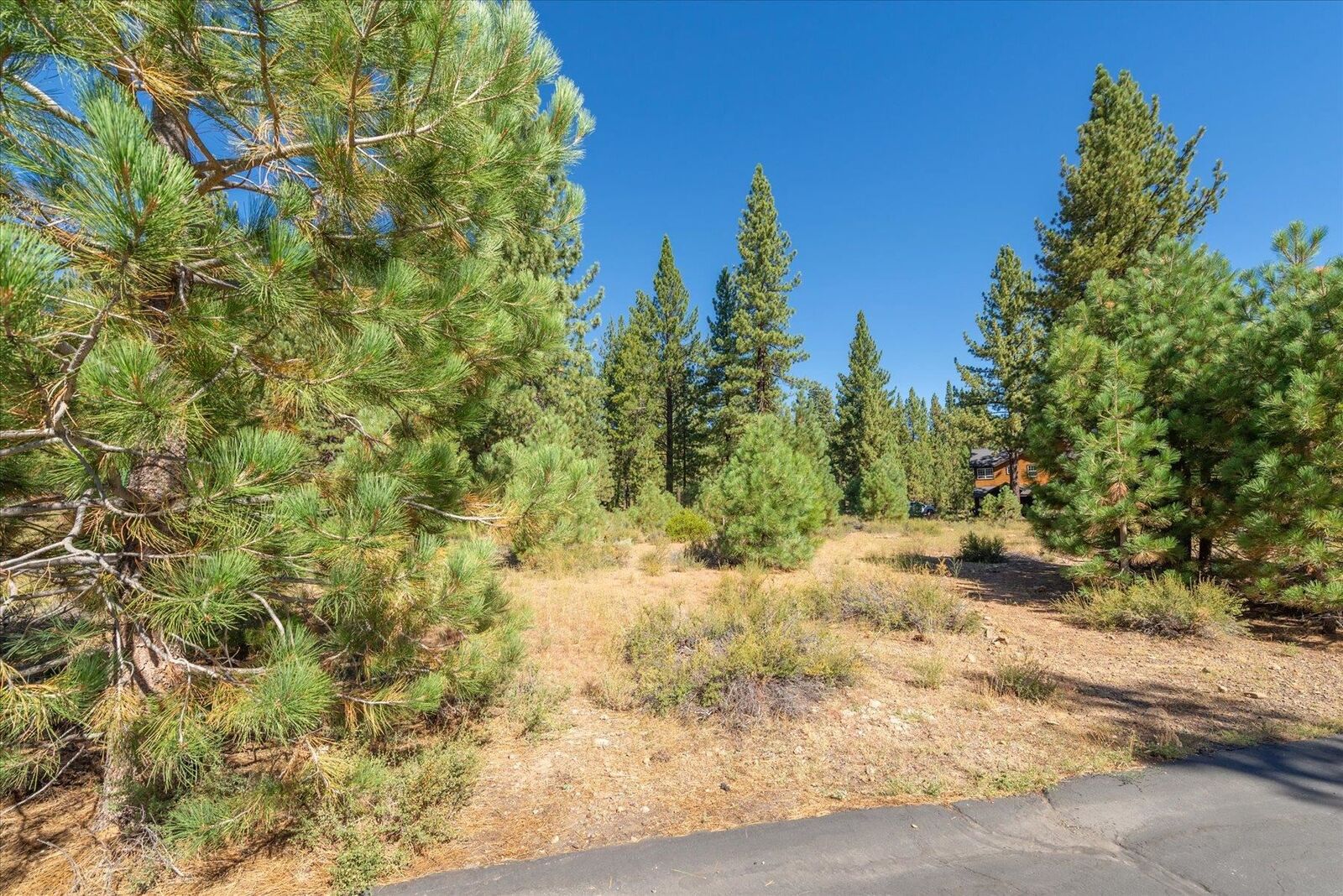 Property Photo:  11272 Wolverine Circle  CA 96161 