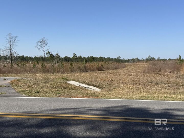 Property Photo:  3 County Road 64  AL 36567 