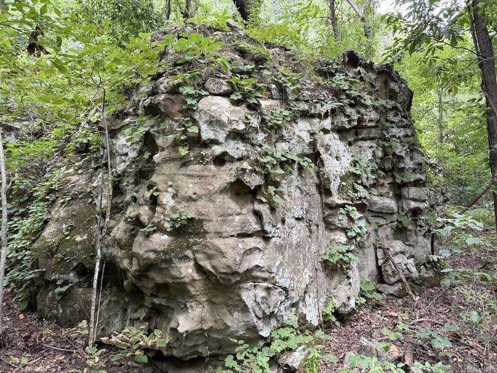 Property Photo: Tract 7 Terrapin Rd AR 72601