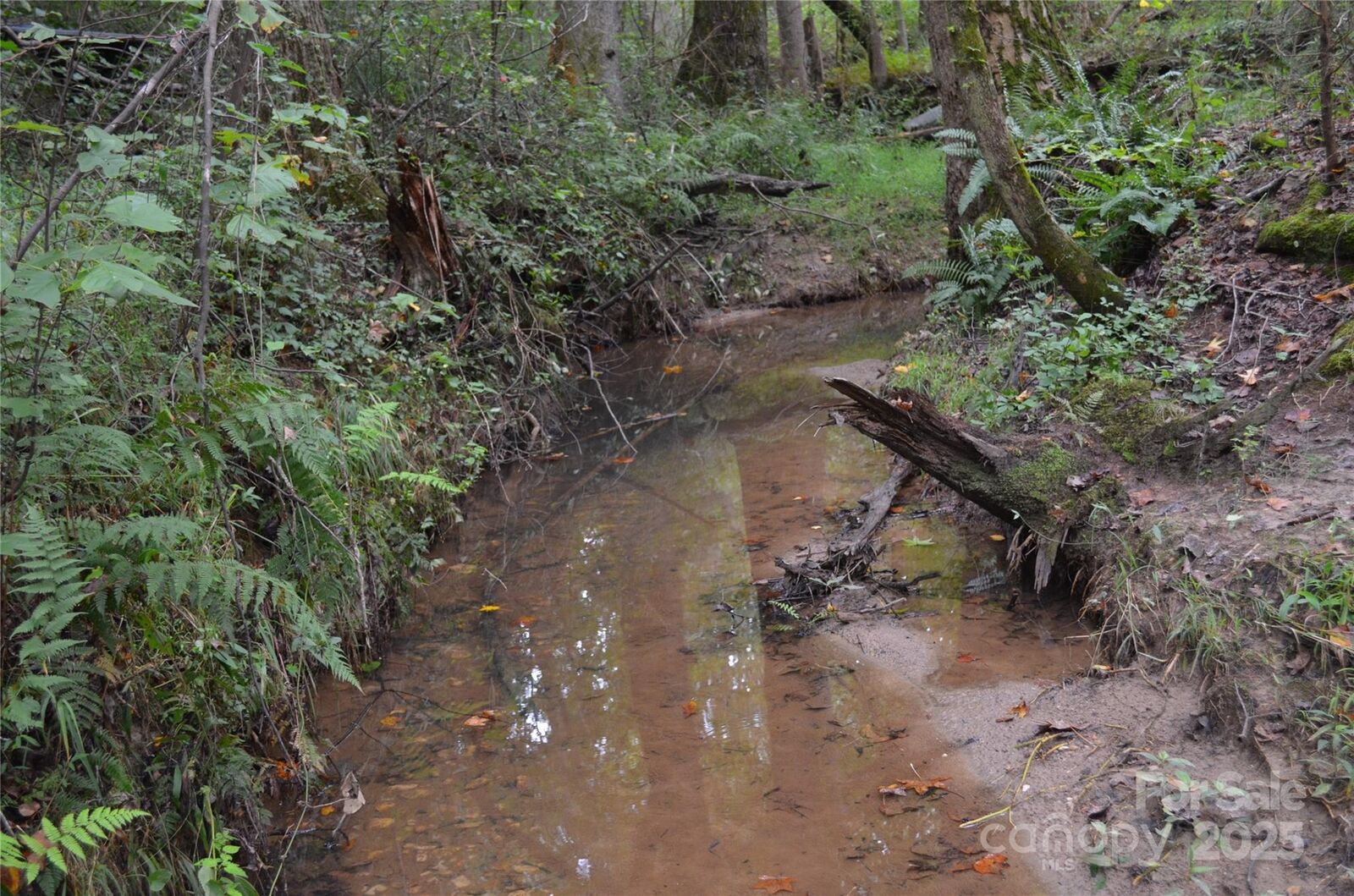 Property Photo:  0 Pate Road  NC 28139 