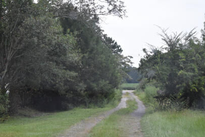 Property Photo: 0 Lilac Lane SC 29580
