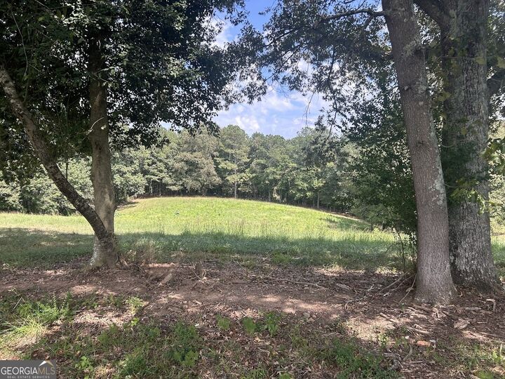 Property Photo:  0 New Mexico Rd Tract 1 (7.47 Acres) Road  GA 30108 