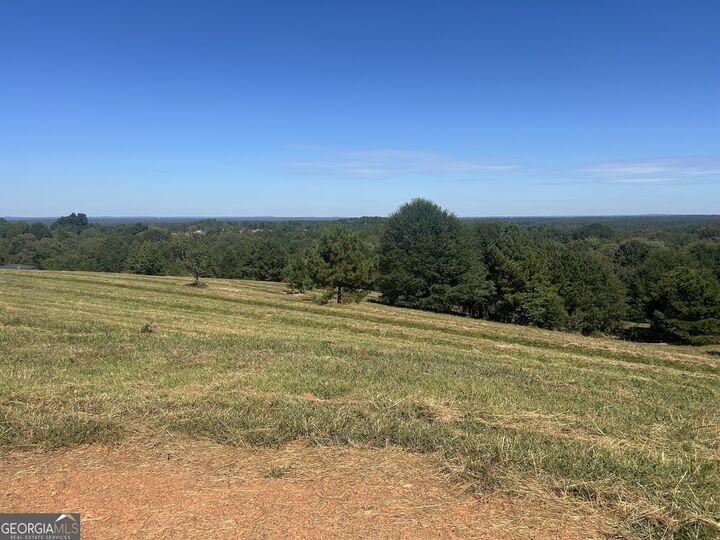 Property Photo:  0 New Mexico Road Tract 1 (7.47 Acres)  GA 30108 