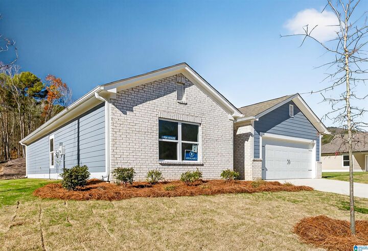 Property Photo:  125 Townmoor Lane  AL 35147 