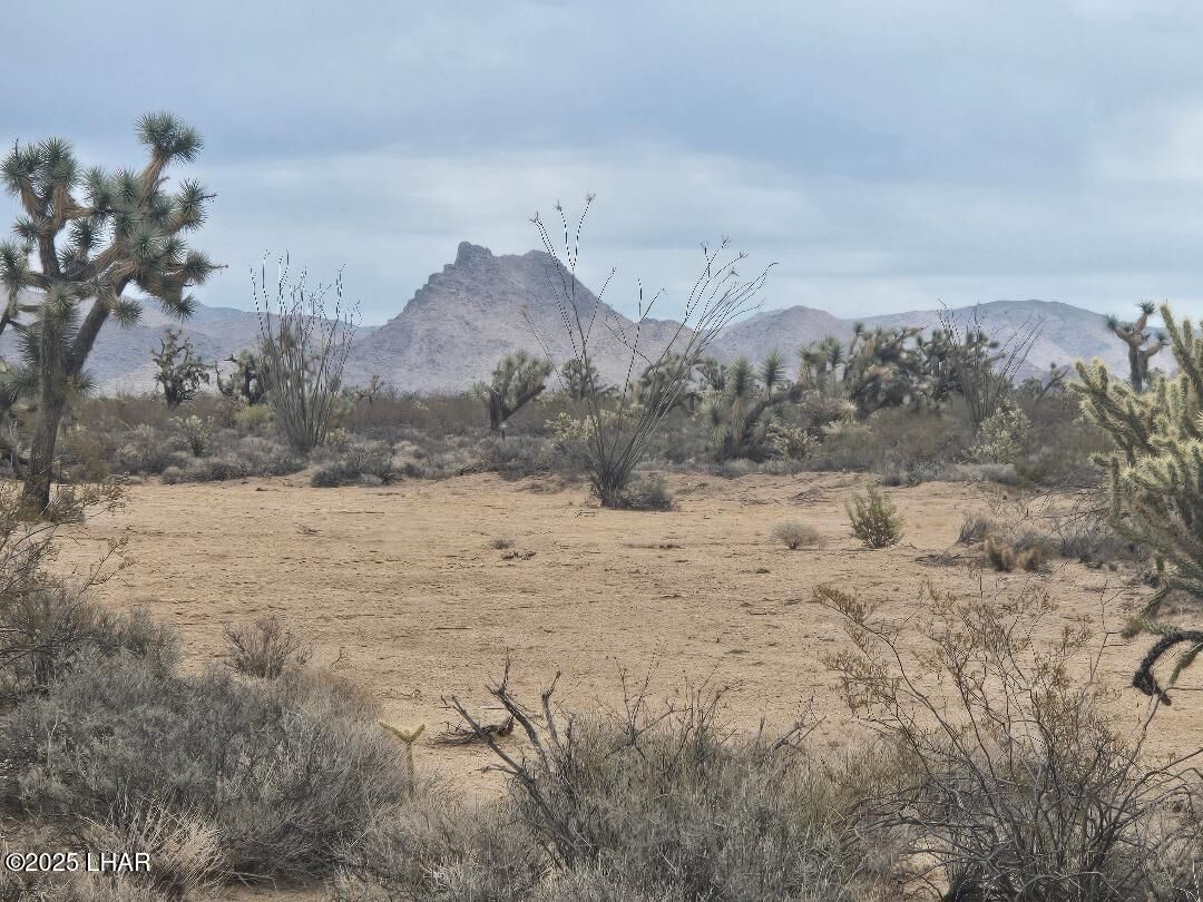 Property Photo: Parcel 450 Kit Carson Rd AZ 86438