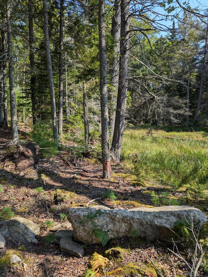 Property Photo:  0 Route #144 (Main Road)  ME 04578 