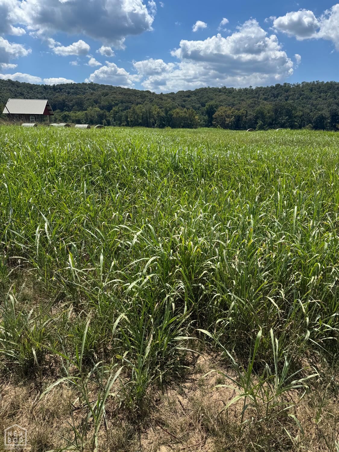 Property Photo: 39 White River Run AR 72540